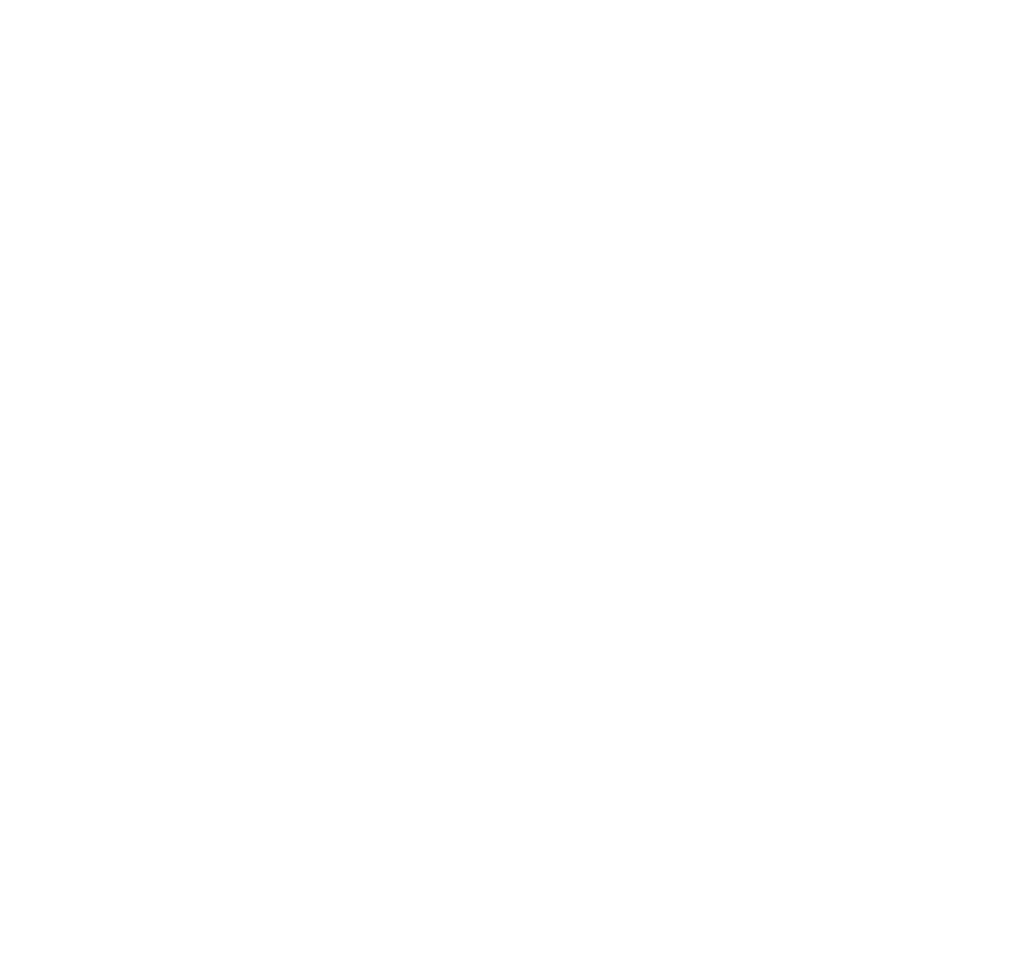 motel venus